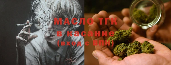 крисы Инсар