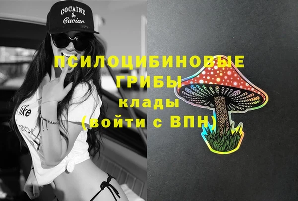 хмурый Зерноград
