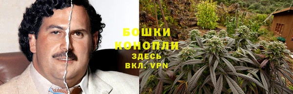 ГАЛЛЮЦИНОГЕННЫЕ ГРИБЫ Иннополис